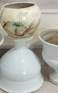 گلدان ها سالم قیمت مناسب