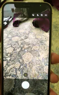 iPhone 12pro 256g