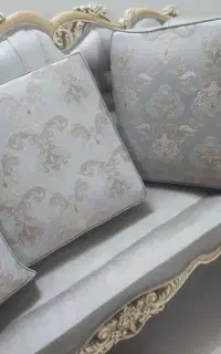 مبل شویی .اب کشی هم میکنه اگه بخوای..