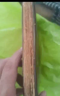 کتاب خدا
