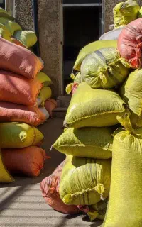 فروش پوست تخمه آفتابگردان