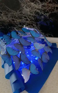 دسته گل پروانه اقتصادی