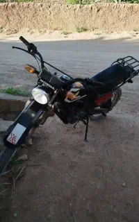 تریل اکسل