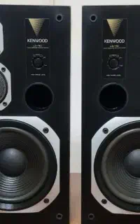 باند حرفه ای کنوود. LS 110