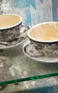 مشاوره وخدمات