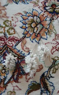 گوشواره