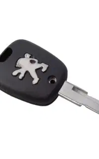 سویچ پژو گمشده پاسارگاد