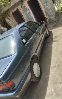 405دلفینی