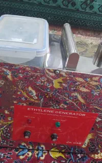 دستگاه رنگ آوری خرمالو نارنگی