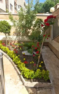 خدمات باغبانی وسم پاشی گیاهان آپارتمانی و باغچه