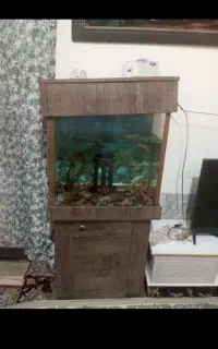 این آکواریوم معاوضه ی‌زنم
