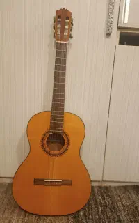 گیتار کلاسیک فرناندز مدل fg120J