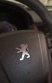 پژوپارس ۹۹