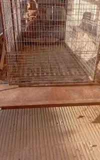 قفس مرغ یا کبوتر