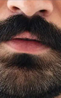 بلیت کنسرت موها 8