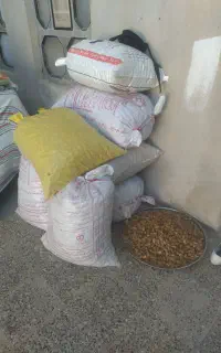 بادام