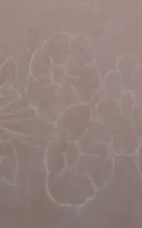 موکت در حدنو