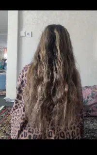 موتون با ارزشه مجانی ندی یوقت