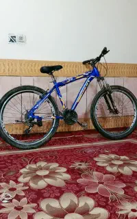 دوچرخه دنده ای حرفه ای