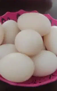تخم اردک