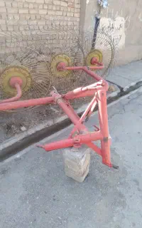 ریگ سالم