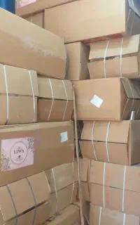 جذب نیرو خانم