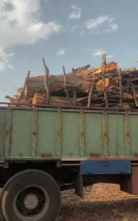برش چوب وخریدار چوب درب کارگاه