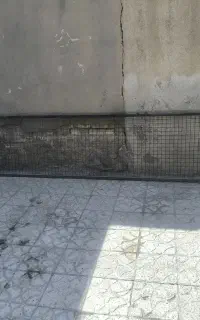 عصار توری
