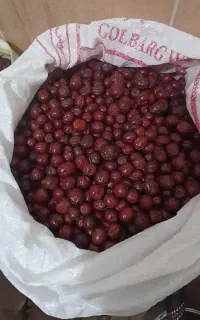 عناب خشک امسالی