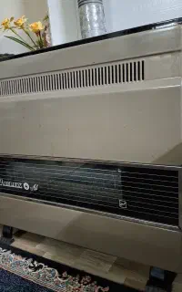 بخاری  ارلوکس