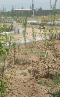جدول کاری‌بنایی‌موزائیک‌‌آرماتوربندی‌سیمانکاری‌‌