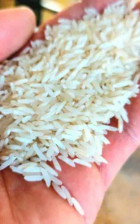 عمده برنج درجه یک پاکستانی  استخوانی