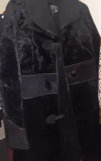 پالتو
