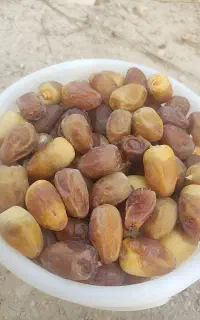 رطب کبکاب و خاصویی