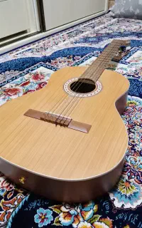 گیتار پارسی m5