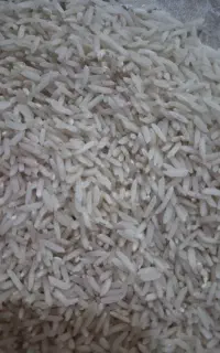 برنج هاشمی کشت دو ارگانیک گرید+++A واقعی