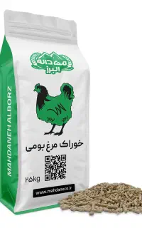 دان مرغ تخمگذار محلی