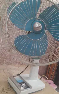 پنکه
