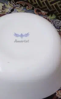 کاسه چندکاره مخصوص تو فر