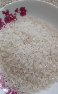برنج فجر ایرانی