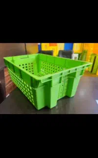 سبد خرگوشی چپ و راستی