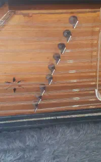 سنتور