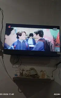 تلویزون