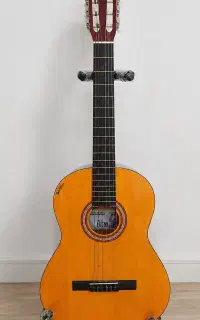 گیتار ایرانی