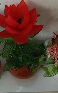 گل های زیبا و تزیینی