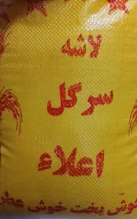 برنج فجر مینودشت