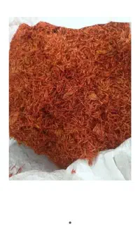 گلرنگ