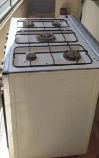 فرگاز