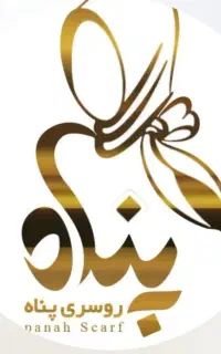 نیازمند ادمین حرفه ای خانم