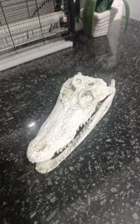 ماکت آکواریوم